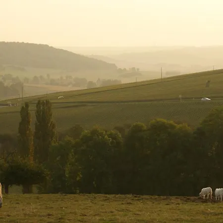 D'hotes & Champagne Douard 3* La Chapelle-Monthodon